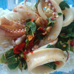 ข้าวกะเพราปลาหมึก