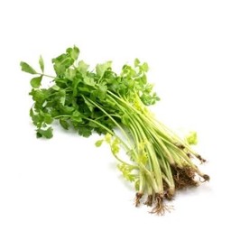 ตั้งโอ๋