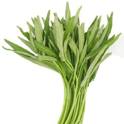 ผักบุ้งจีน