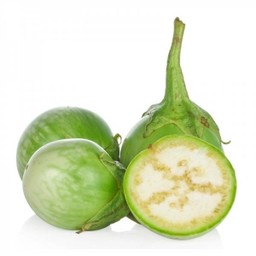 มะเขือเปราะ