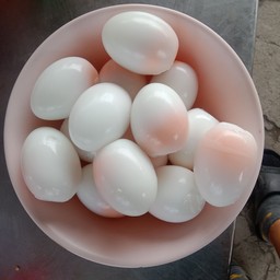 ไข่ยางมะตูม