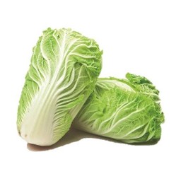 ผักกาดขาว