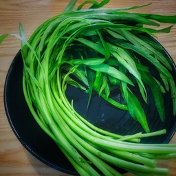 ผักบุ้ง