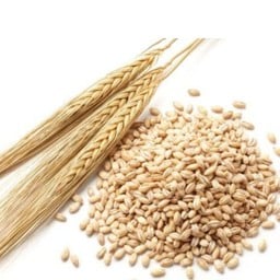 เพิ่มผงไวท์มอลต์