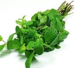 สาระแหน่