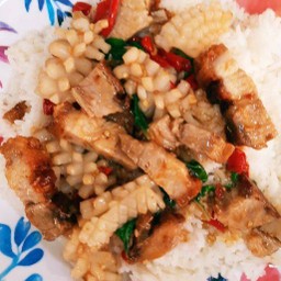 ข้าวกระเพราหมูกรอบ+ปลาหมึก