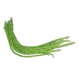 ถั่วฝักยาว