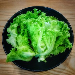 ผักกาดแก้ว