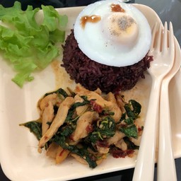 ข้าวกระเพราอกไก่