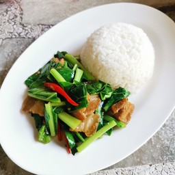 ข้าวราดผักคะน้า