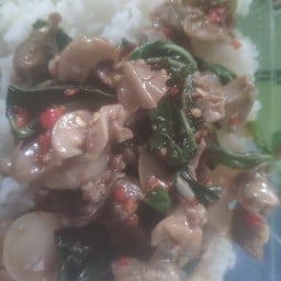 กระเพราเนื้อ(กับข้าว)