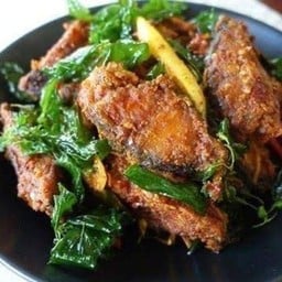 ปลาดุกทอดกรอบผัดเผ็ด