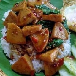 ข้าวกะเพราไก่ยอ