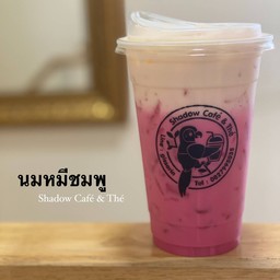 นมหมีชมพู