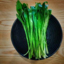 ผักชีฝรั่ง