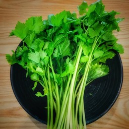 คื่นช่าย