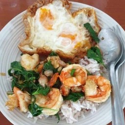 ผัดกะเพรากุ้งราดข้าว