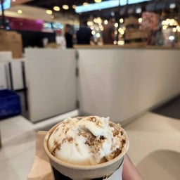 Molto Gelato (มอลโต เจลาโต้) ฟิวเจอร์พาร์ค และสเปลล์