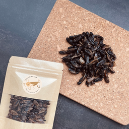 แมลงอบแห้ง By แม่หมี