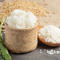 ข้าวเหนียว