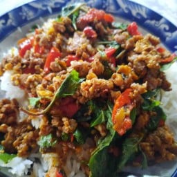 ตระกูลกะเพรา