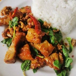 กะเพราสมใจ-ข้าวหอมมะลิสุรินทร์100% พุทธบูชา