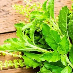 โซนปังปัง