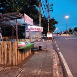 ๑ ปลาเผา