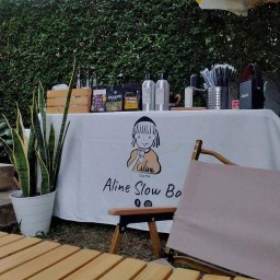 อลิน สโลบาร์