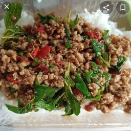 ผัดกระเพราหมูสับออนไลน์