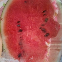 กลอยใจผลไม้@บ่อสร้าง(รถพ่วง) เคลื่อนที่