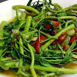 กระเฉดไฟแดง