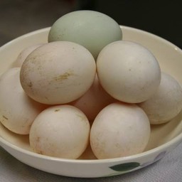 ไข่เป็ดต้ม