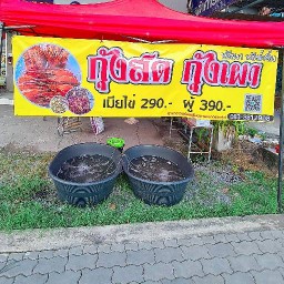 กุ้งสด กุ้งเผา กินง่าย ขายดี