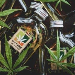 Rak Cann Cafe รักกัญ คาเฟ่ ทาวน์อินทาวน์