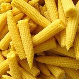 ข้าวโพดอ่อน