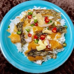 ข้าวปลาแกะ ป๋าโฟร์ by ป๋าหนุ่ย ซอยประชาสันติ ซ.ประชาสันติ