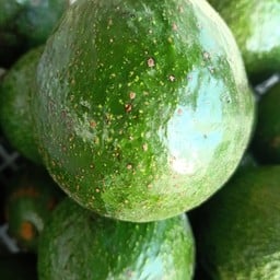 อโวคาโด&สเต๊ก บางบัญ