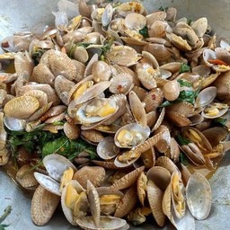 ผัดหอยลายน้ำมันหอย