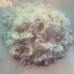 ข้าวเปล่า