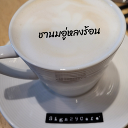 ชานมอู่หลงร้อน