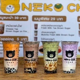 Nekocha สาขาบ้านฮ่องกอม่วง ลำพูน