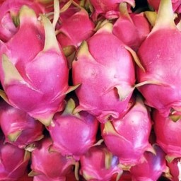 แก้วมังกร