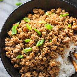 ข้าวหน้าหมูสับ/หมูชิ้นซอสญี่ปุ่น