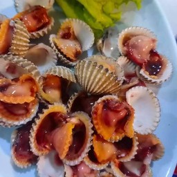 หอยแครงลวก