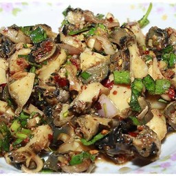 ก้อยหอย