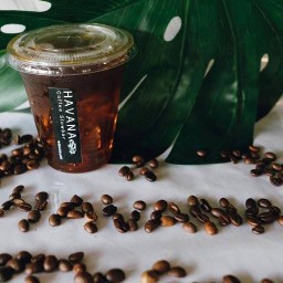 Havana Coffee  Lomsak