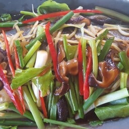 ปลากะพงนึ่งซีอิ๊ว