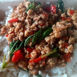 [อร่อยซ่ากับโค้ก] กระเพราหมูสับ ราดข้าว +  โค้ก ออริจินัล (กระป๋อง) 