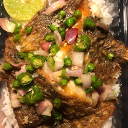 ข้าวปลานิลแกะ ( เล็ก )